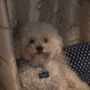 Meet your Posher, Beatriz